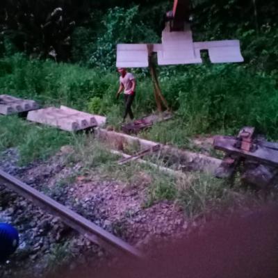 Beaufort - Halogilat