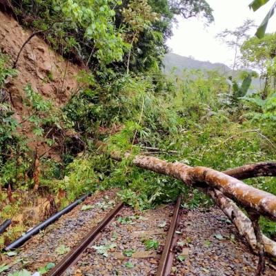 Lokasi Runtuhan Kayu: KM135/7
