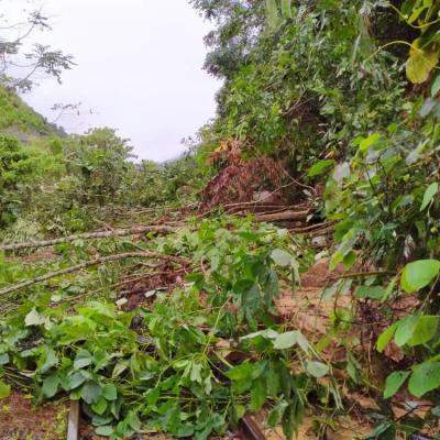 Lokasi keruntuhan batu dan uras-uras kayu