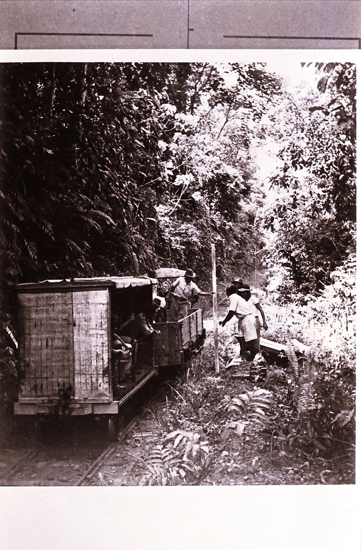 Keretapi kecil membawa penumpang melalui kawasan pedalaman Sabah Keretapi kecil membawa penumpang melalui kawasan pedalaman Sabah